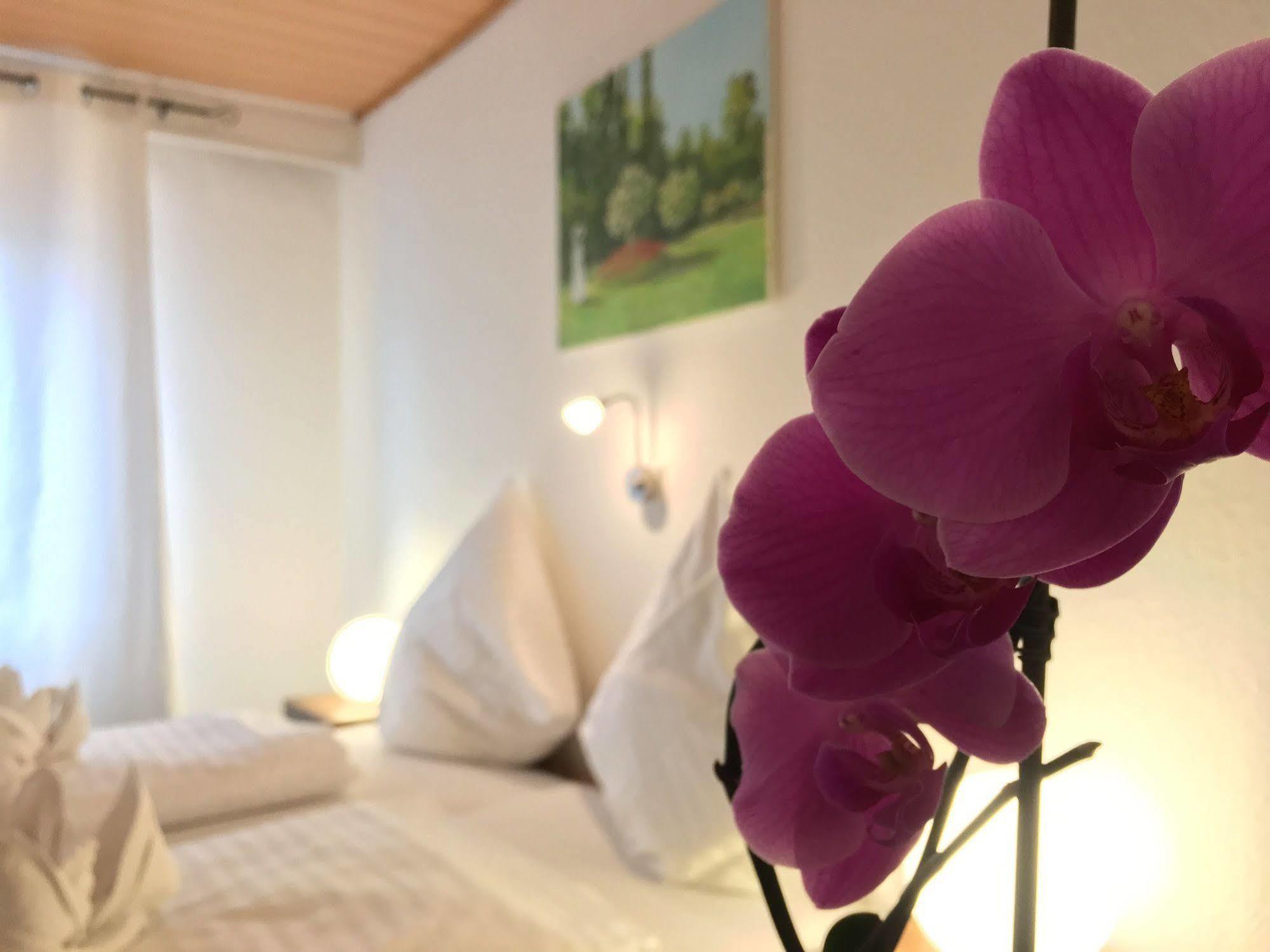 City Hotel Diez Zewnętrze zdjęcie